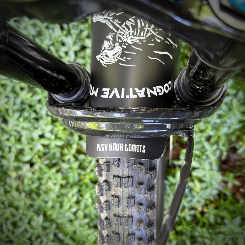 MTB Mudguard - Push Your Limits - Image 3
